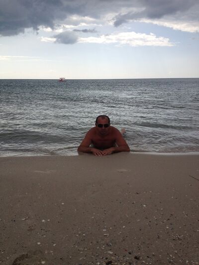 ,   PET, 50 ,  
