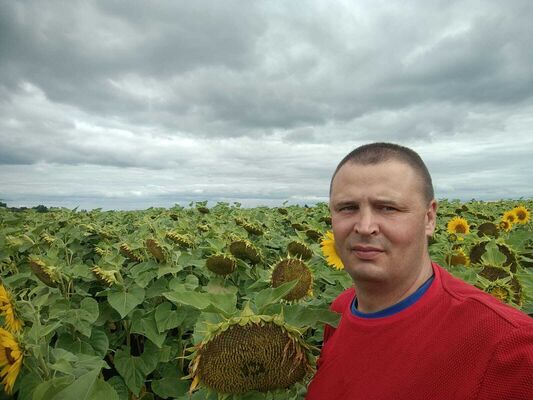  ,   Sergey, 42 ,   ,   , c , 