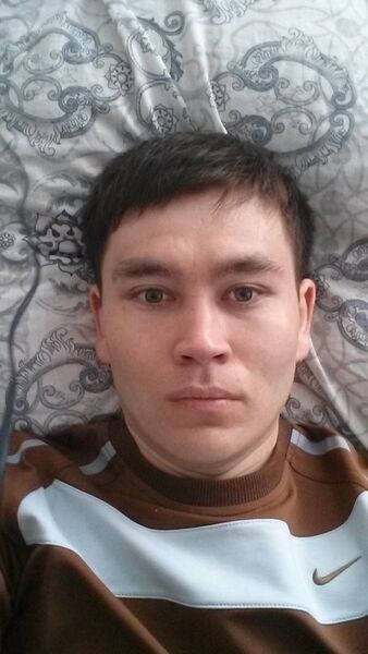  -,   , 37 ,  