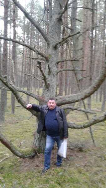  ,   , 61 ,  