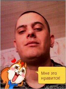  7330003  , 40 ,    