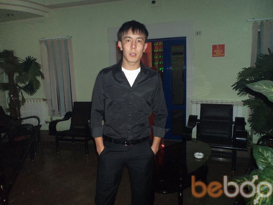 ,   Zzz, 38 ,  