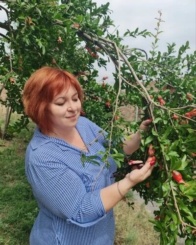  Bansko,   , 52 ,     , c , 