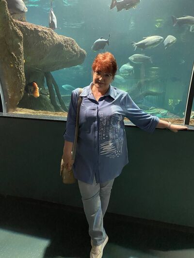  ,   , 66 ,   ,   , 