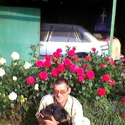  ,   , 55 ,   ,   , c 