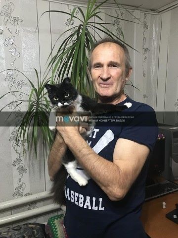  ,   , 67 ,   ,   