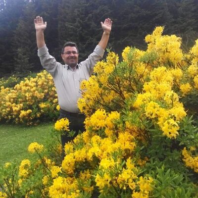  ,   Musa, 55 ,  