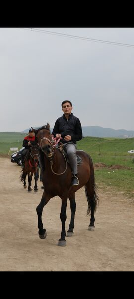  ,   Samandar, 24 ,   ,   