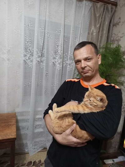  ,   , 43 ,   c 