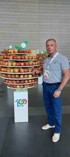  ,   , 67 ,  