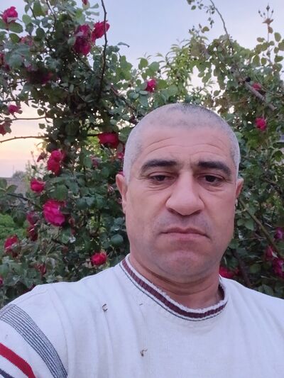  ,   , 50 ,   ,   