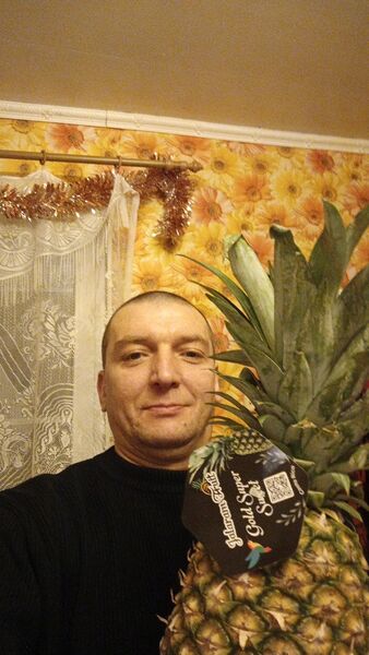  ,   kosty, 45 ,   ,   