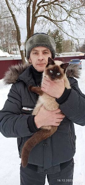  ,   , 51 ,   ,   