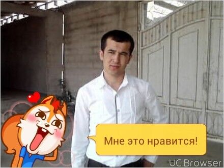  ,   Salom, 33 ,   ,   , c 