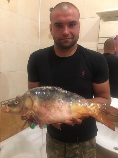   ,   Kamrad, 35 ,   ,   , 