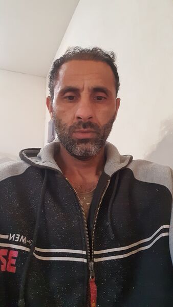  Dolphin,   Basher, 38 ,   ,   