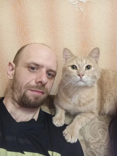  ,   , 37 ,  