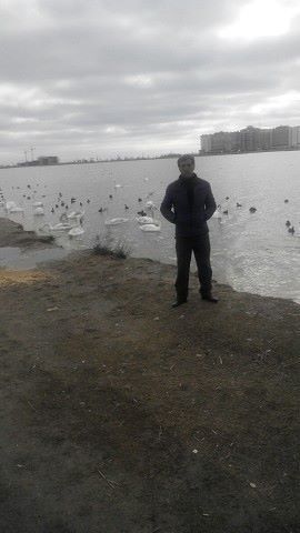  ,   , 54 ,   