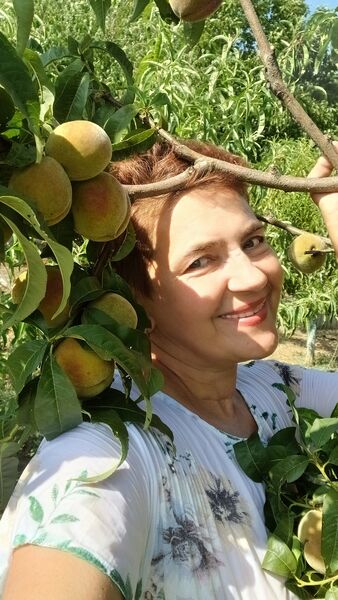 ���������� �����������, ���� ������� ����, 58 ���, ������������ ��� ������, ����� � ���������, c�������� ���������