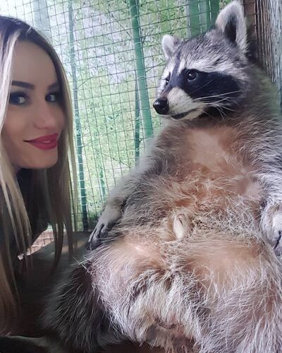  --,   , 29 ,   ,   , c 