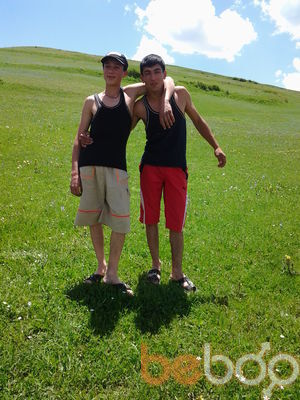  ,   NORO, 31 ,   ,   , c 