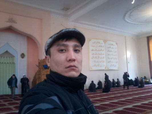  ,   Medya, 41 ,  