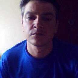  ,   , 41 ,   