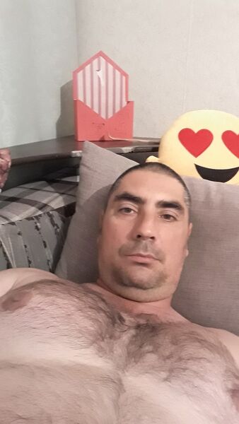  ,   , 43 ,   , 