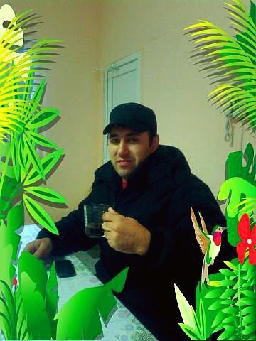 ���������� ������, ���� ������� ������, 37 ���, ������������ ��� ������, ����� � ���������