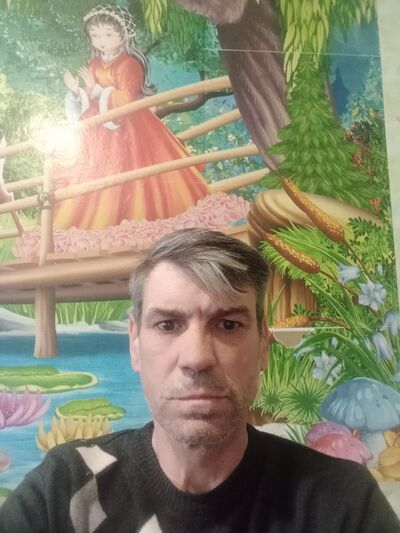  ,   , 51 ,   ,   