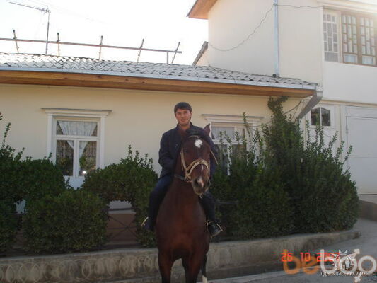  ,   EHSON, 40 ,     , c 