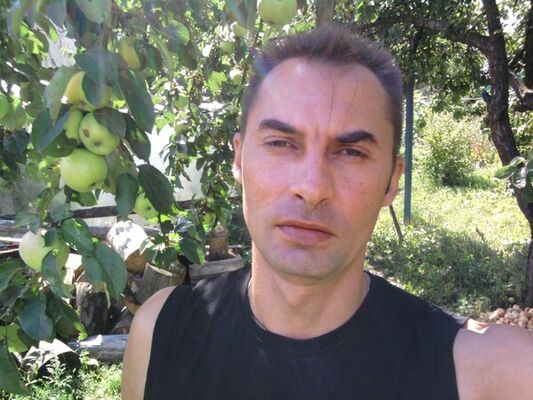  ,   , 53 ,     , c , 