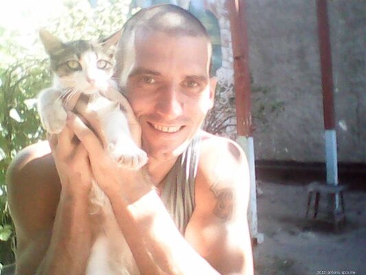  ,   Arni, 41 ,     , c 