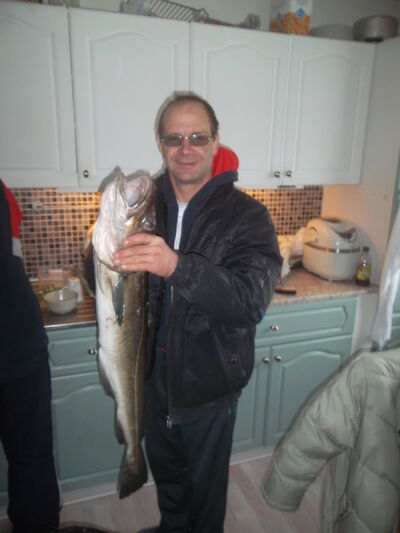  Holter,   Iancho, 62 ,   ,   , c 