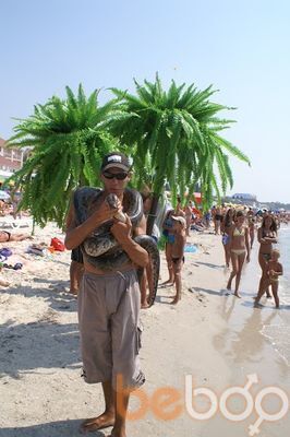 ���������� �����, ���� ������� ���, 43 ����, ������������ ��� ������, ����� � ���������, c�������� ���������, ���������