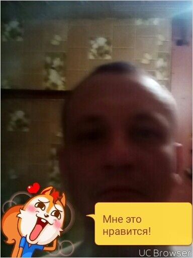  11721653  , 44 ,    