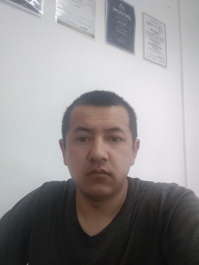  ,   Shurik, 41 ,   ,   , c , 