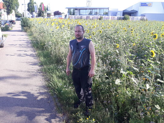  Stuttgart,   Oleg, 44 ,     , c 