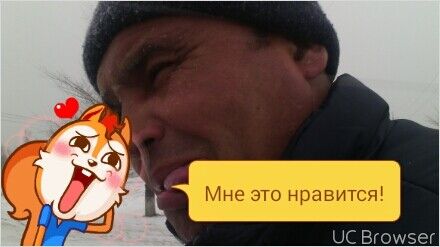 ���������� ���������, ���� ������� Gff, 53 ����, ������������ 