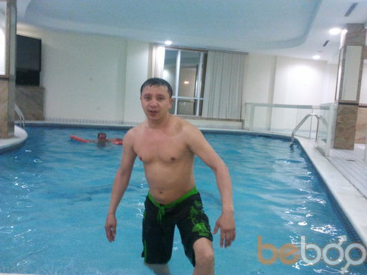  ,   Haast, 43 ,   ,   , c 