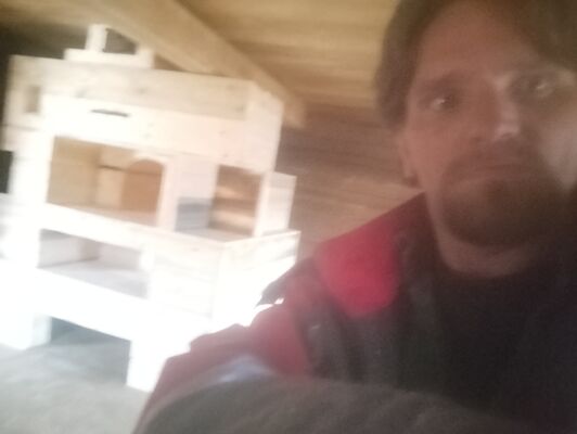  ,   , 44 ,  