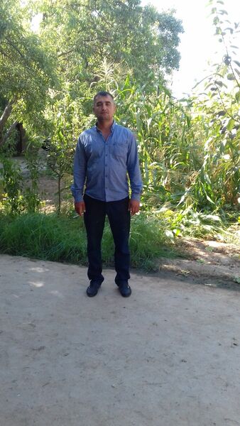   ,   Saha Ali, 44 ,   ,   , c 