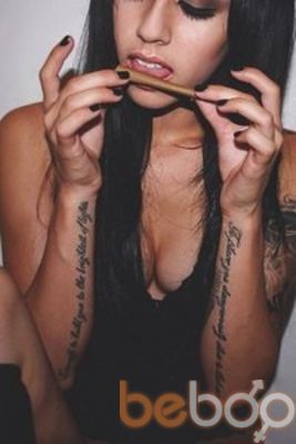  ,   Geisha, 41 ,   ,   , c 