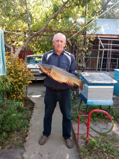  ,   , 67 ,   ,   