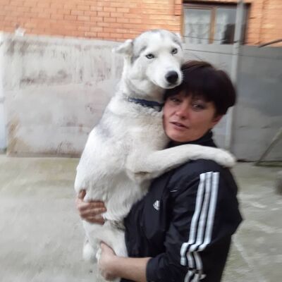  ,   , 48 ,     , c 
