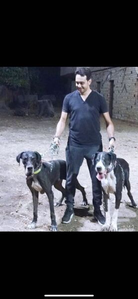 ,   Hisham, 42 ,   ,   