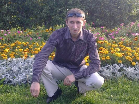  -,   , 41 ,   ,   , c 