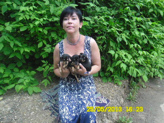  ,   , 58 ,   ,   , c 