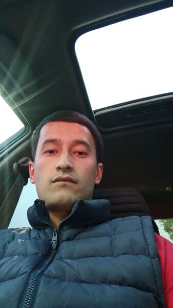  ,   Krasavchik, 29 ,   ,   , c 