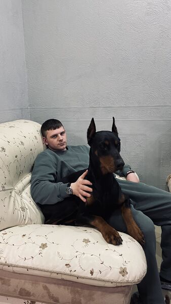  ,   Vladimir, 22 ,   ,   